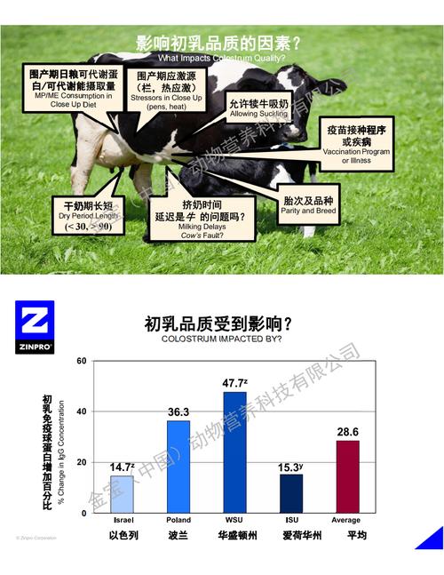 犊牛几天补硒