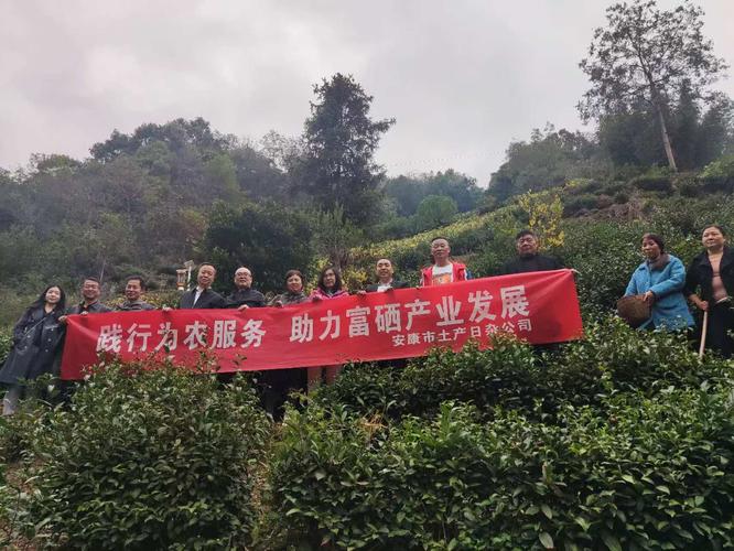 政府建议补硒