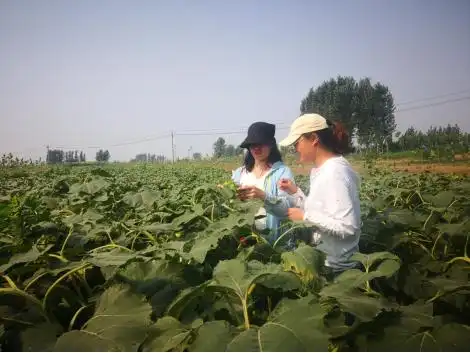 植物如何补硒