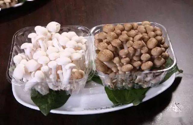 蘑菇压片补硒