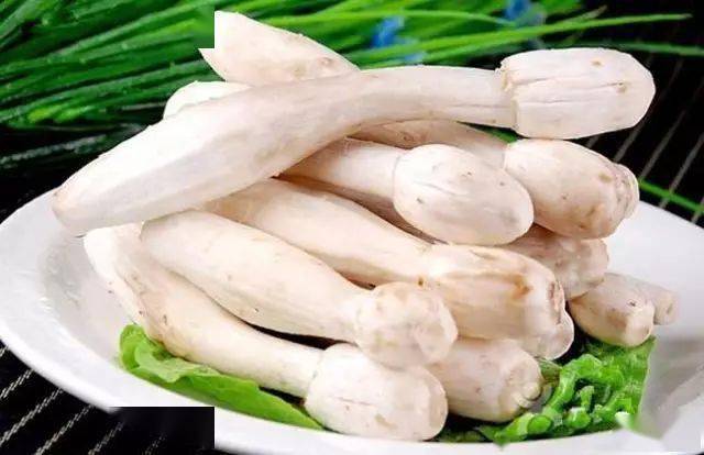 蘑菇压片补硒