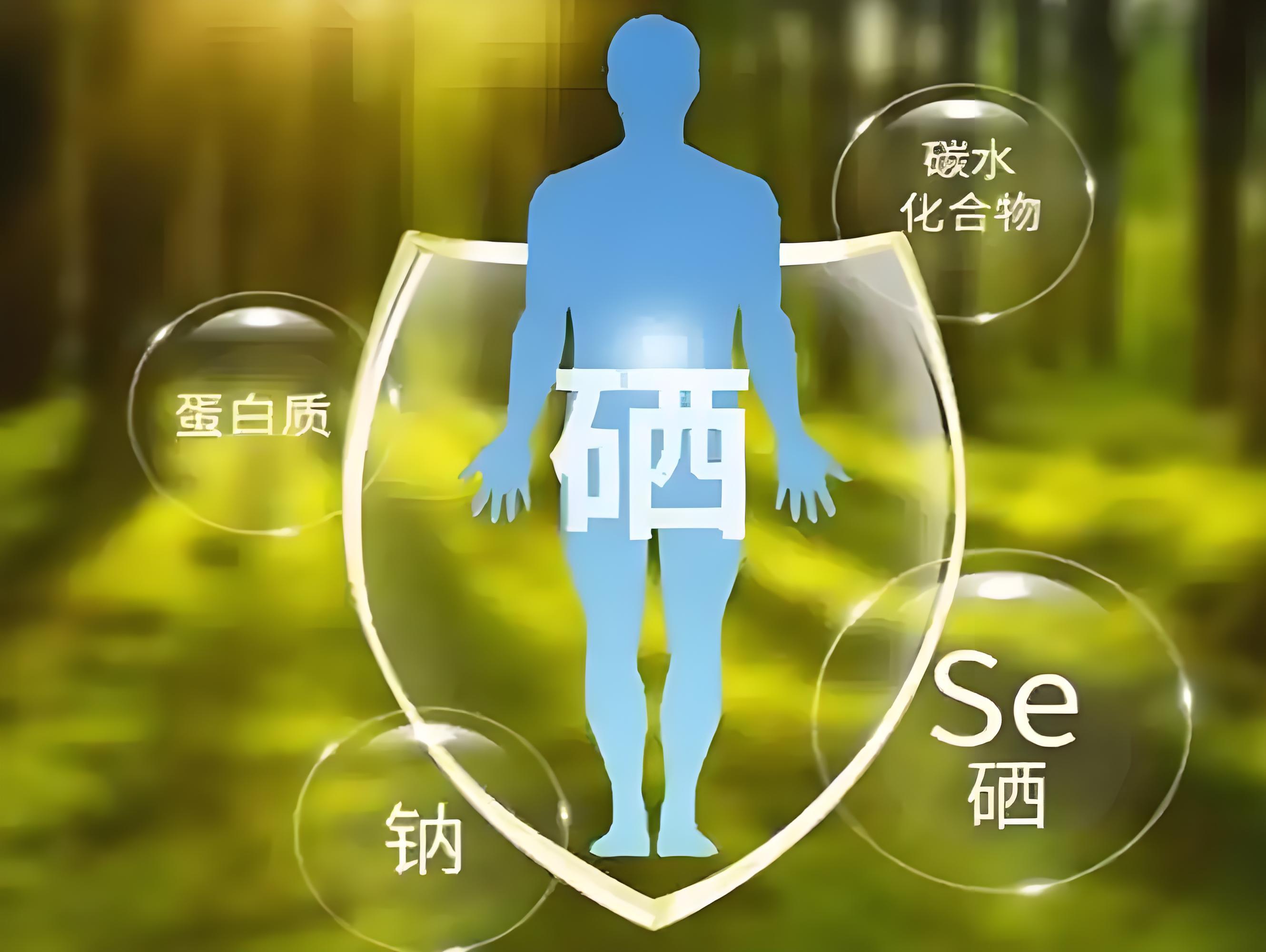硒片补硒元素
