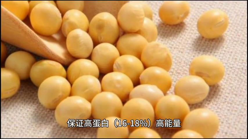 仔猪补硒技术