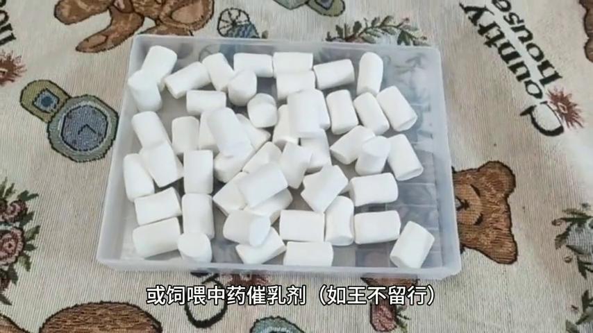 仔猪补硒技术