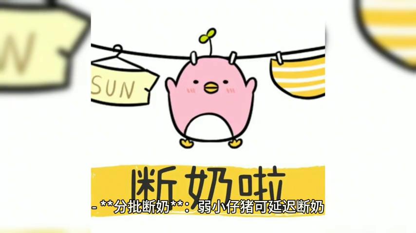 仔猪补硒技术