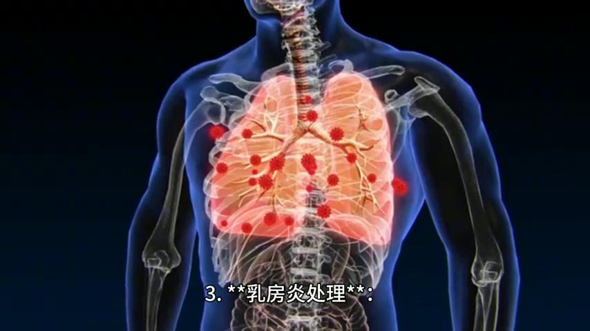 仔猪补硒技术