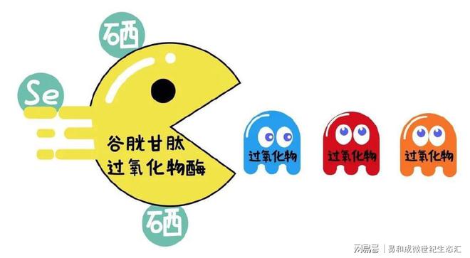 正确补硒方法