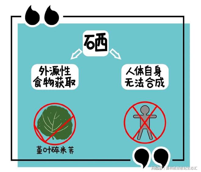 正确补硒方法