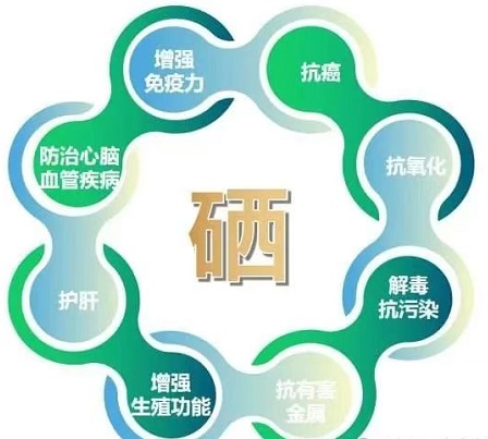 微信图片_20250516075517.jpg