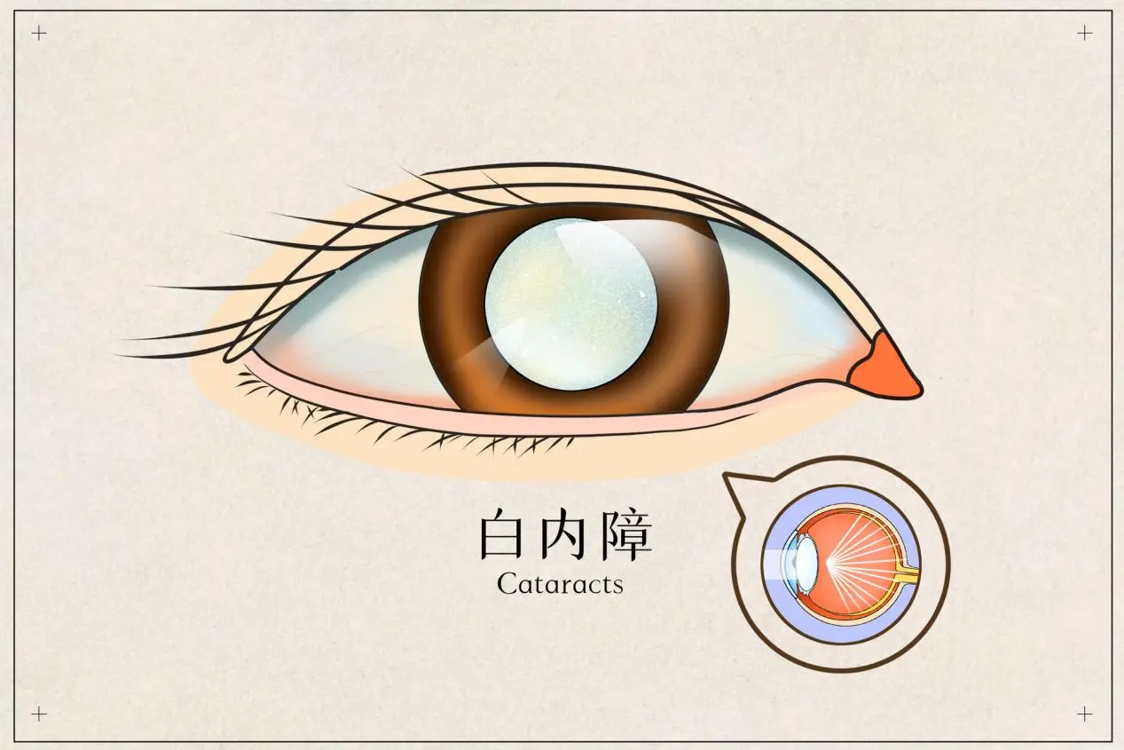科学补硒元素