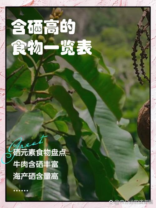 补硒一一坚果