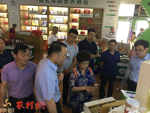 科学补硒陕西