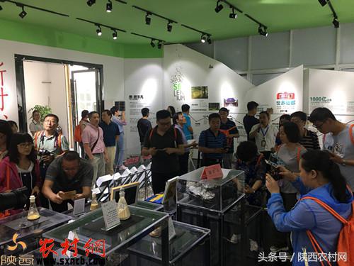 科学补硒陕西