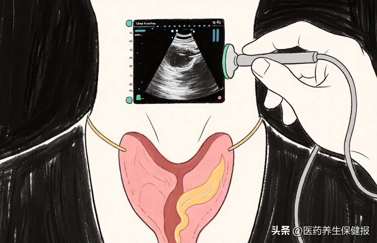 桥本补硒用量