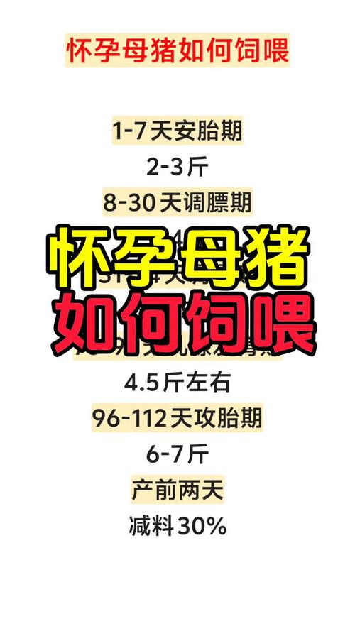 母猪补硒多少