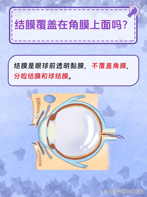眼球突出补硒