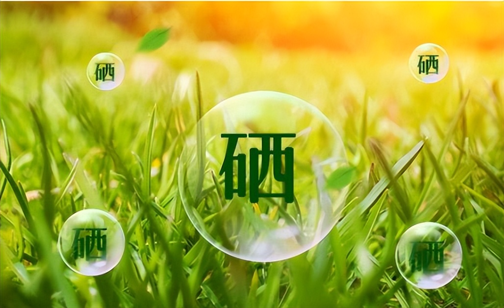 补多少硒合适