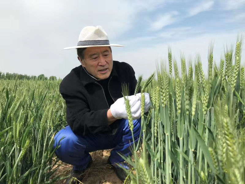 科学补硒陕西