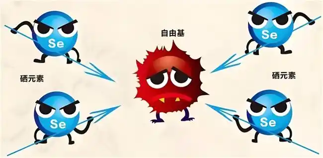 补硒补锌推荐