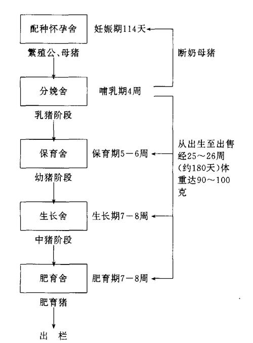 仔猪补硒几次