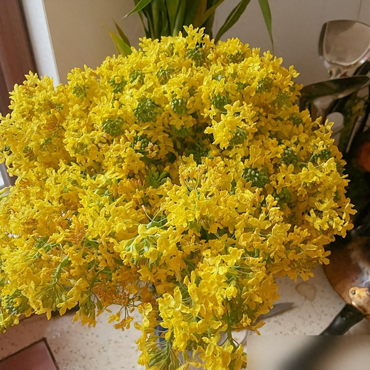 水培蔬菜补硒