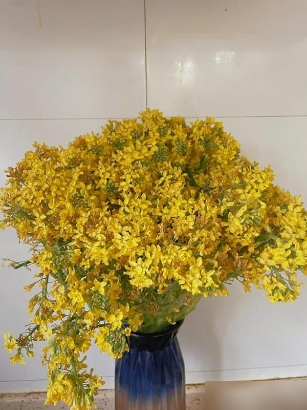 水培蔬菜补硒