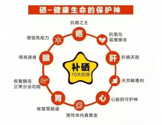 补硒最快食物