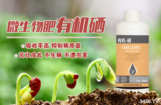 硒肥有什么作用？作物如何才能补硒？