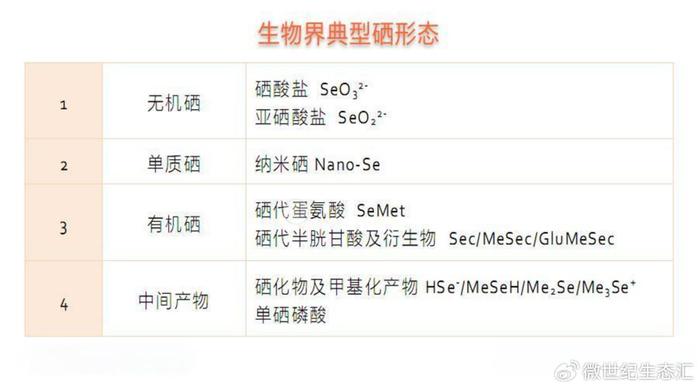 怎样可以补硒