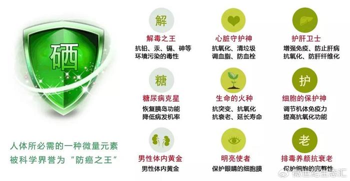 怎样可以补硒