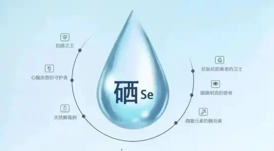 成人怎么补硒