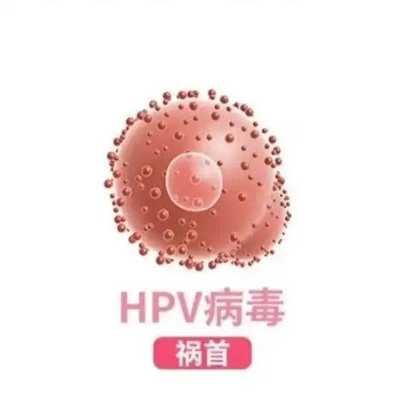 成人怎么补硒