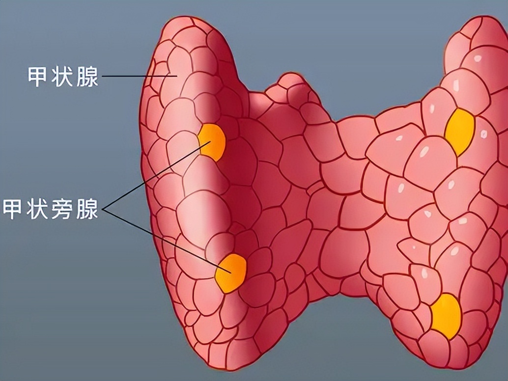 补硒帮助睡眠