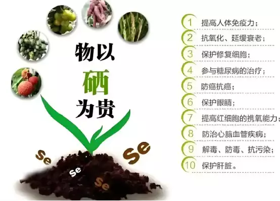 补硒研究学会