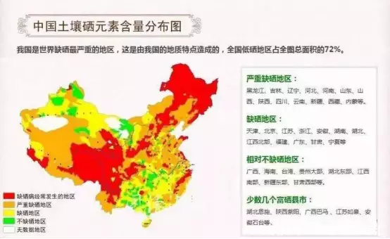 补硒研究学会