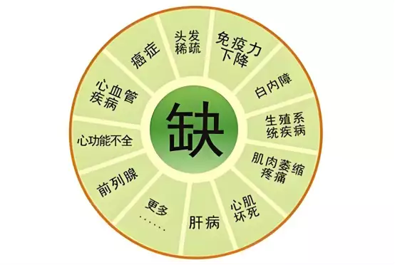 补硒研究学会