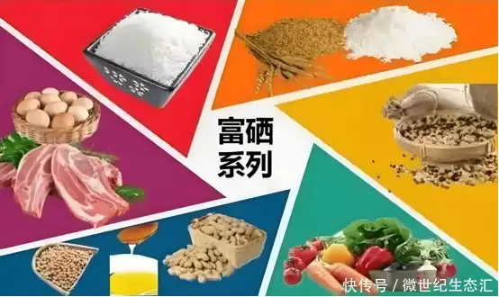 补硒研究学会