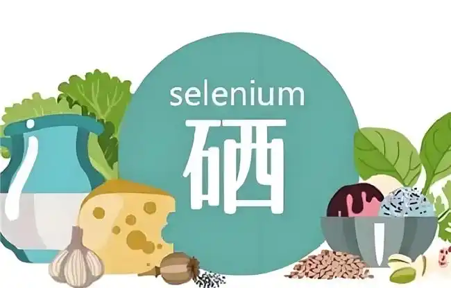 女性如何补硒