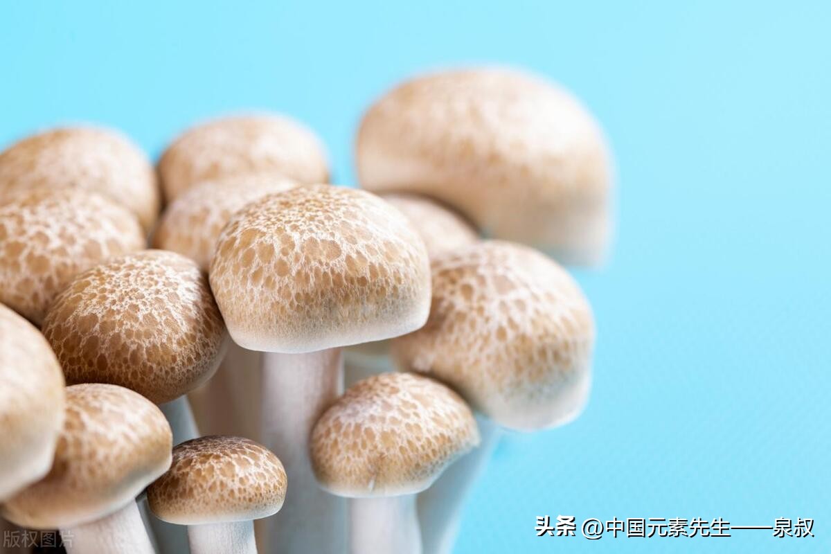 乙肝怎样补硒