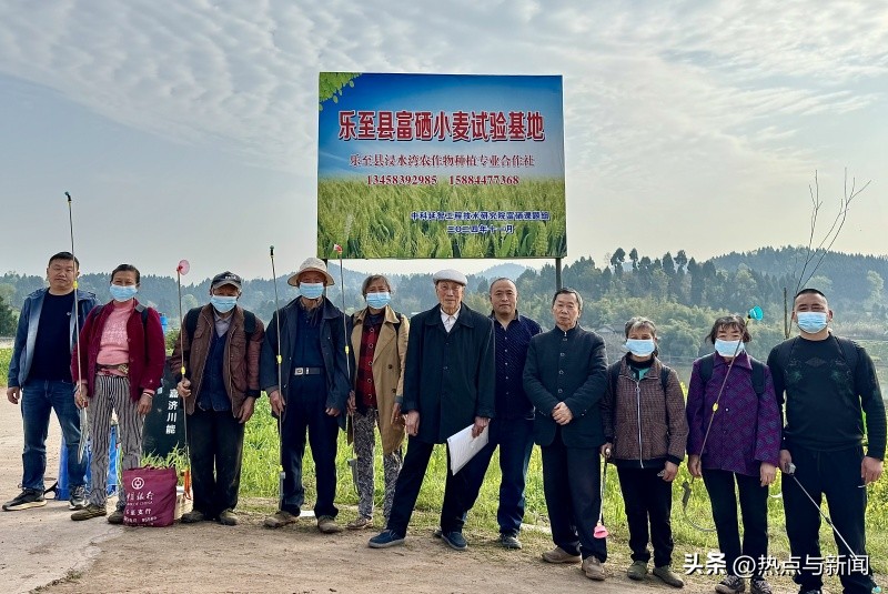 小麦怎么补硒