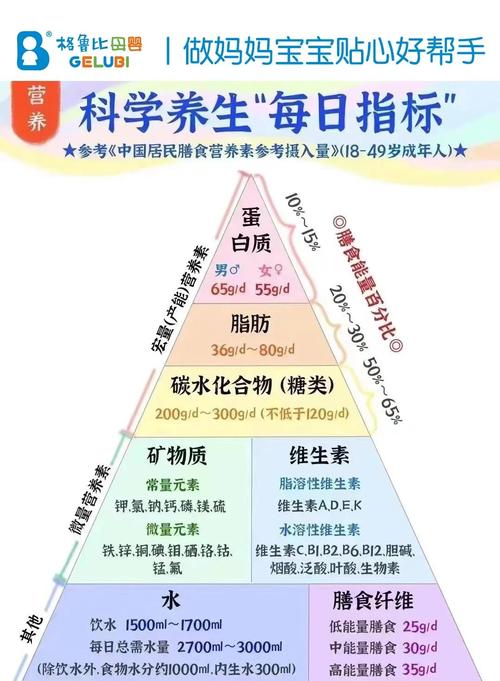 食物补硒吸收