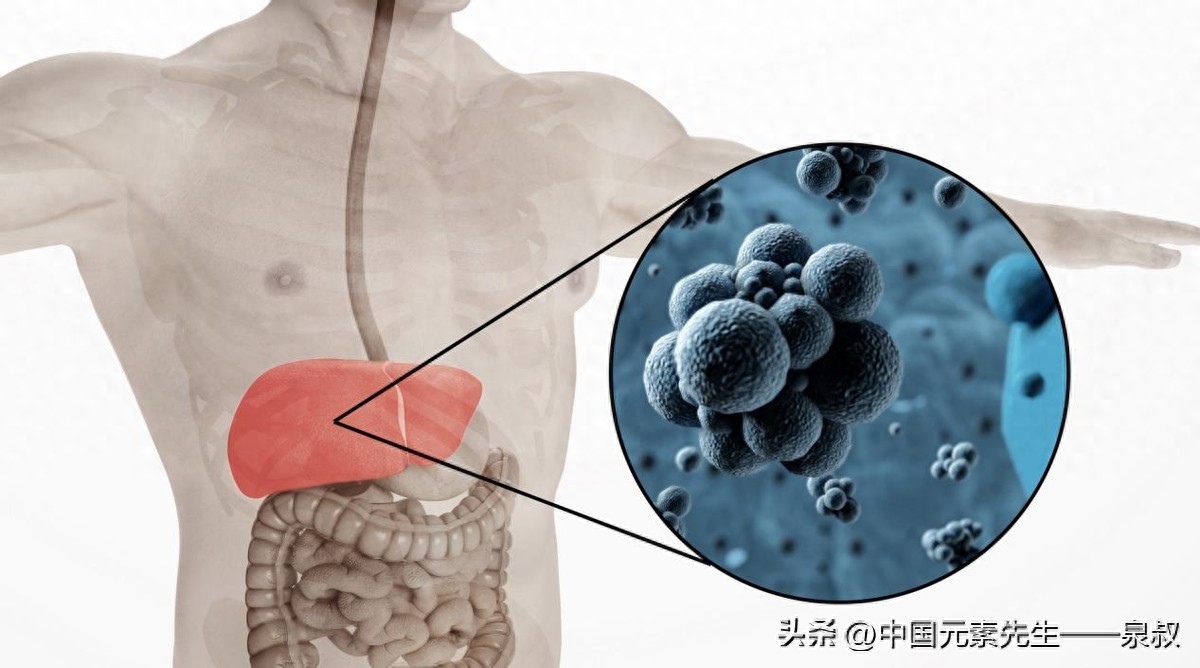 补硒慢性乙肝