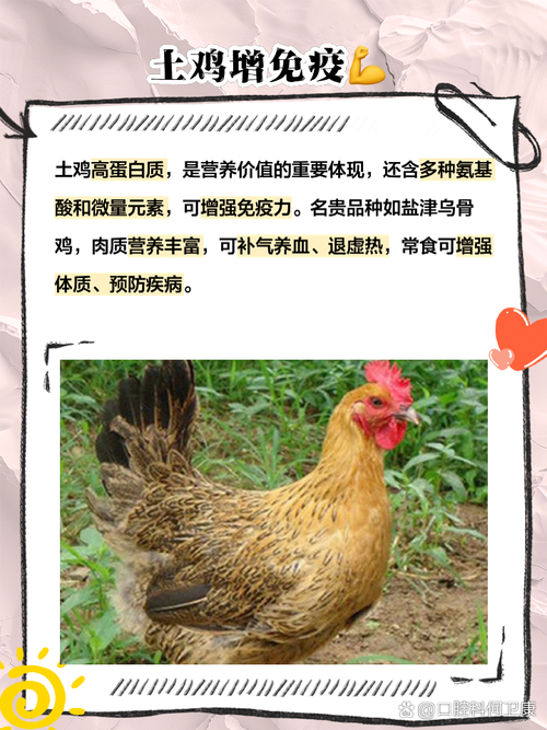 土鸡需要补硒