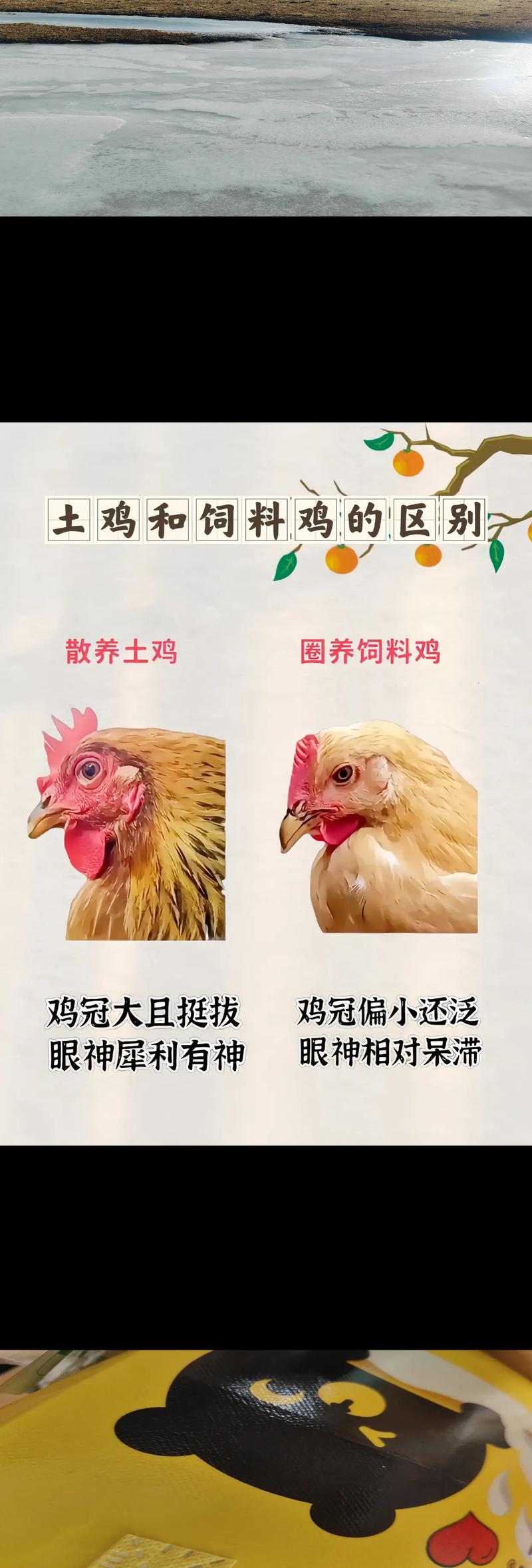 土鸡需要补硒