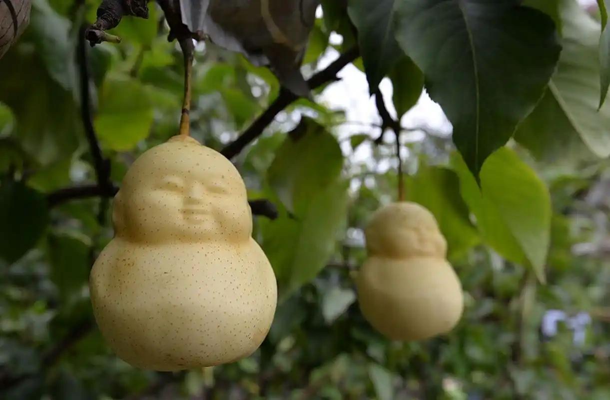 美国推荐补硒