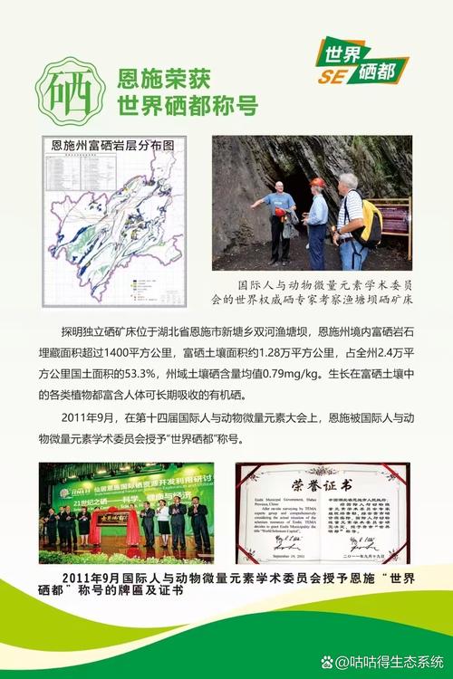 美国推荐补硒