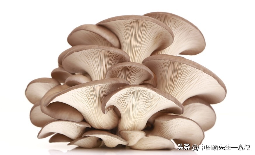 江苏启东补硒