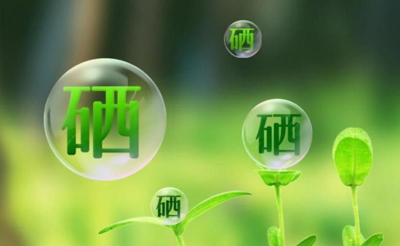 全民补硒项目
