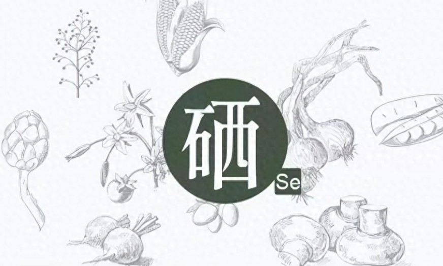 补硒睡眠好了