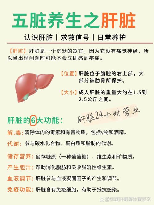 肝脏补硒时间
